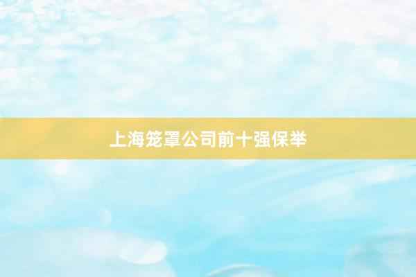 上海笼罩公司前十强保举