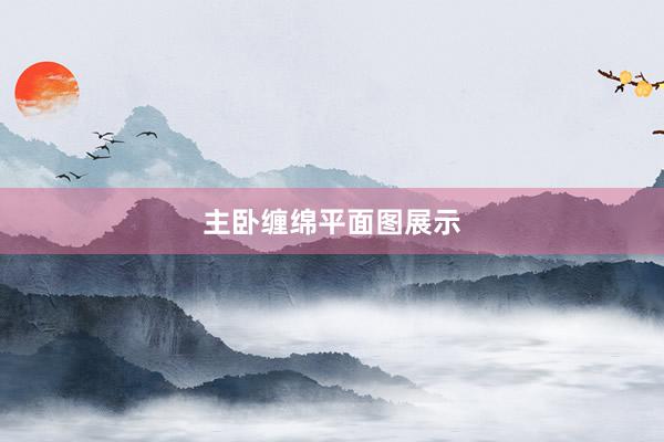 主卧缠绵平面图展示