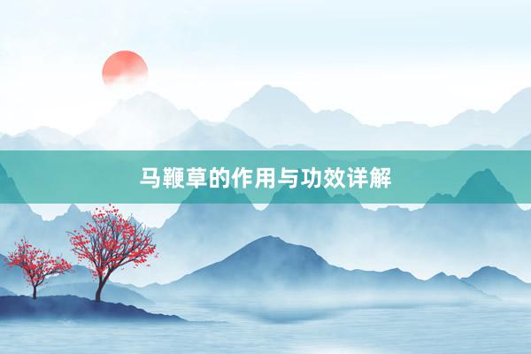 马鞭草的作用与功效详解