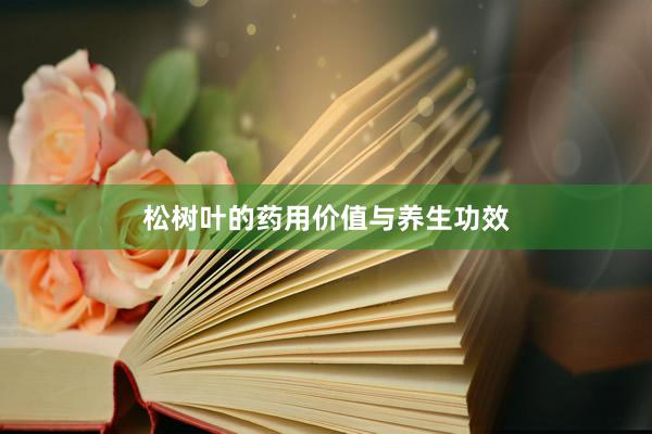 松树叶的药用价值与养生功效
